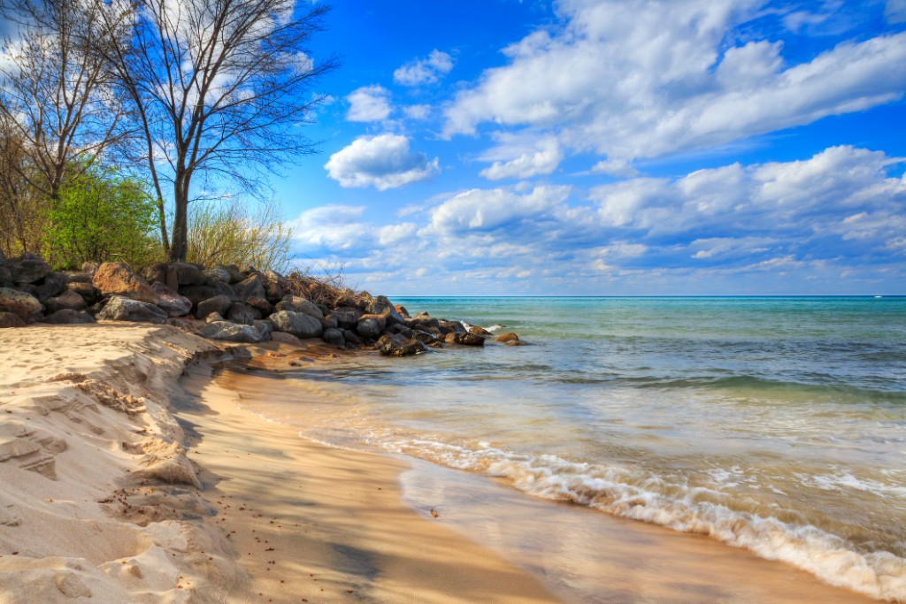 A closeup view of seashores in the North Shore Suburbs of Chicago