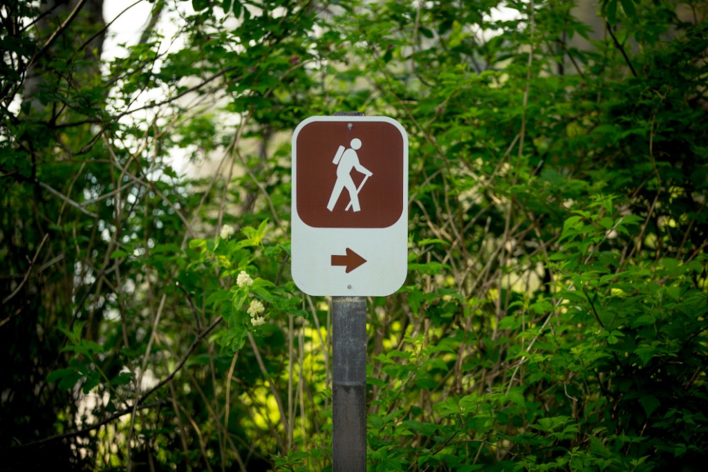 A hiking trail sign surrounded by leaves and branches